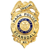 B537G Badge