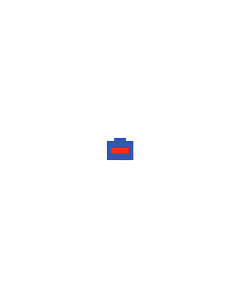 2800/2 Replacement Pad