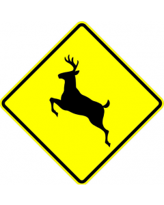 Deer Crossing